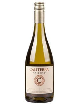 Vang Caliterra Tributo Chardonnay