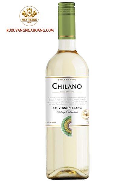 vang-chilano-sauvignon-blanc