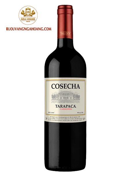 vang-chile-tarapaca-cosecha-carmenere