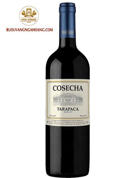 vang-chile-tarapaca-cosecha-merlot