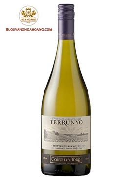 Vang Concha Y Toro Terrunyo Sauvignon Blanc Block 5