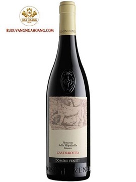 Vang Domini Veneti Amarone Castelrotto