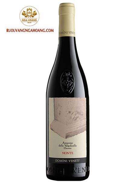 vang-domini-veneti-amarone-monte