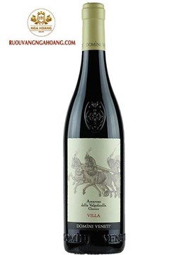 Vang Domini Veneti Amarone Villa