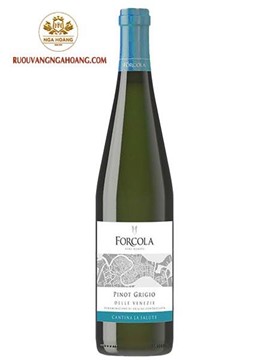 Vang Forcola Pinot Grigio