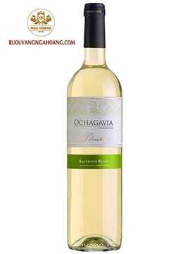 vang Ochagavia Silvestre Sauvignon Blanc