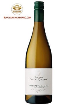 Vang Trắng Corte Giacobbe Pinot Grigio
