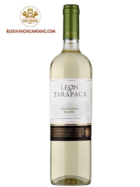 vang-trang-leon-de-tarapaca-sauvignon-blanc